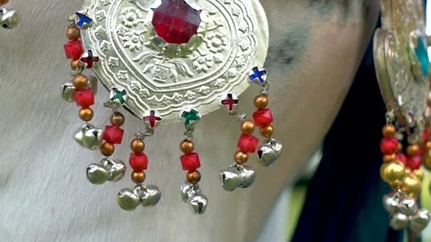 Slow motion shot of tent pagging horse in Pakistan (17) Stock Footage 252123297