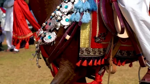 Slow motion shot of tent pagging horse in Pakistan (31) Stock Footage 252123886