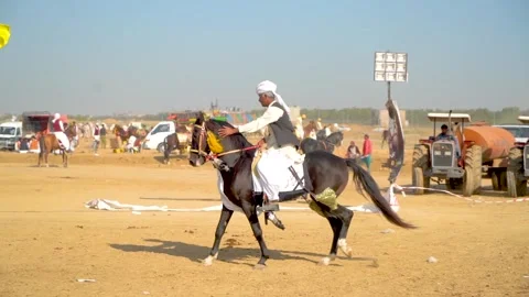Slow motion shot of tent pagging horse in Pakistan (2) Stock Footage 253657078