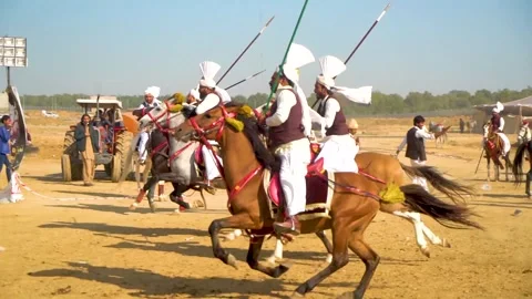 Slow motion shot of tent pagging horse in Pakistan (3) Stock Footage 253657130