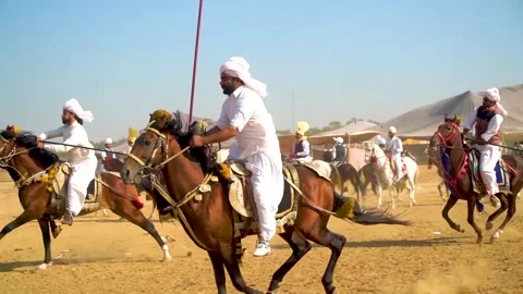 Slow motion shot of tent pagging horse in Pakistan (5) Stock Footage 253657134