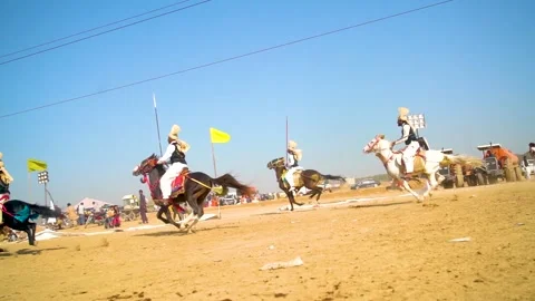 Slow motion shot of tent pagging horse in Pakistan (4) Stock Footage 253657203