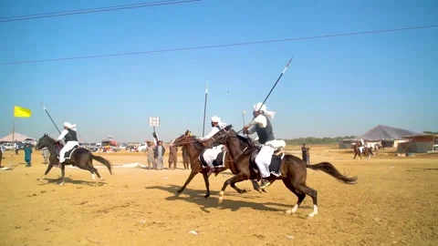 Slow motion shot of tent pagging horse in Pakistan (6) Stock Footage 253657204