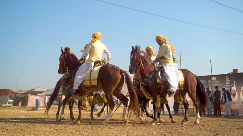Slow motion shot of tent pagging horse in Pakistan (7) Stock Footage 253657206