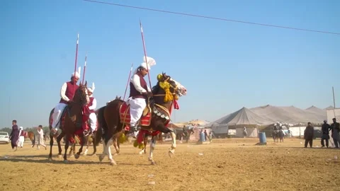 Slow motion shot of tent pagging horse in Pakistan (8) Stock Footage 253657267