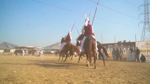 Slow motion shot of tent pagging horse in Pakistan (10) Stock Footage 253657271