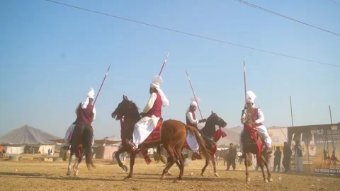 Slow motion shot of tent pagging horse in Pakistan (11) Stock Footage 253657272