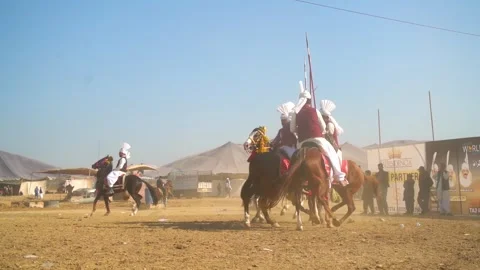 Slow motion shot of tent pagging horse in Pakistan (12) Stock Footage 253657344