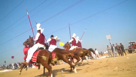 Slow motion shot of tent pagging horse in Pakistan (13) Stock Footage 253657346