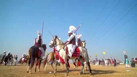 Slow motion shot of tent pagging horse in Pakistan (14) Stock Footage 253657347