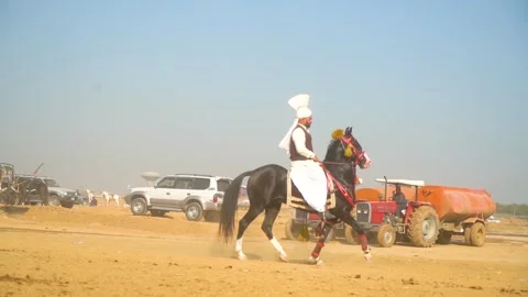 Slow motion shot of tent pagging horse in Pakistan (15) Stock Footage 253657406