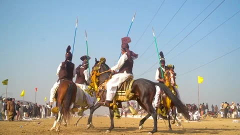 Slow motion shot of tent pagging horse in Pakistan (16) Stock Footage 253657408