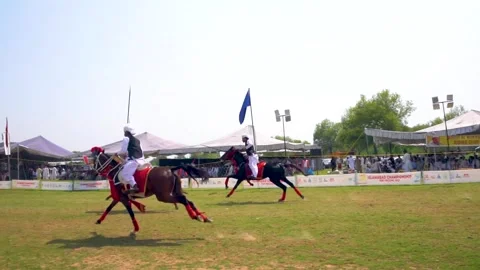 Slow motion shot of tent pagging horse in Pakistan (18) Stock Footage 253657425