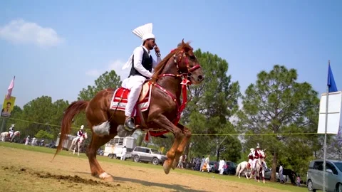 Slow motion shot of tent pagging horse in Pakistan (19) Stock Footage 253657495