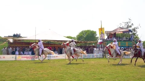 Slow motion shot of tent pagging horse in Pakistan (22) Stock Footage 253657501