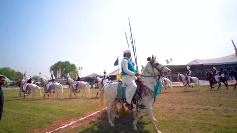 Slow motion shot of tent pagging horse in Pakistan (25) Stock Footage 253657555