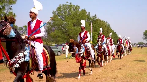 Slow motion shot of tent pagging horse in Pakistan (26) Stock Footage 253657609