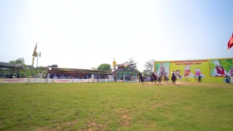 Slow motion shot of tent pagging horse in Pakistan (23) Stock Footage 253657610