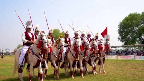 Slow motion shot of tent pagging horse in Pakistan (27) Stock Footage 253657611