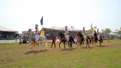 Slow motion shot of tent pagging horse in Pakistan (28) Stock Footage 253657672