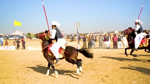 Slow motion shot of tent pagging horse in Pakistan (30) Stock Footage 253657674