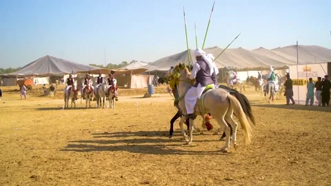 Slow motion shot of tent pagging horse in Pakistan (32) Stock Footage 253657732