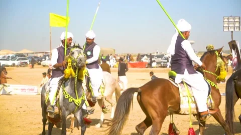Slow motion shot of tent pagging horse in Pakistan (31) Stock Footage 253657733