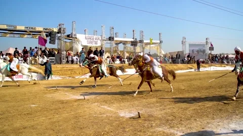 Slow motion shot of tent pagging horse in Pakistan (34) Stock Footage 253657748