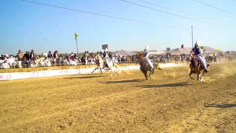 Slow motion shot of tent pagging horse in Pakistan (38) Stock Footage 253657867