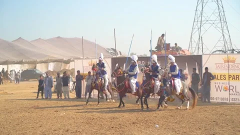 Slow motion shot of tent pagging horse in Pakistan Stock Footage 253657980