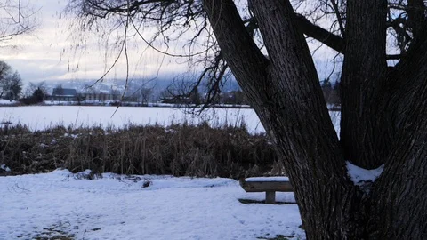Slow motion shot of trees in winter snow covered park	 Stock Footage 122229429