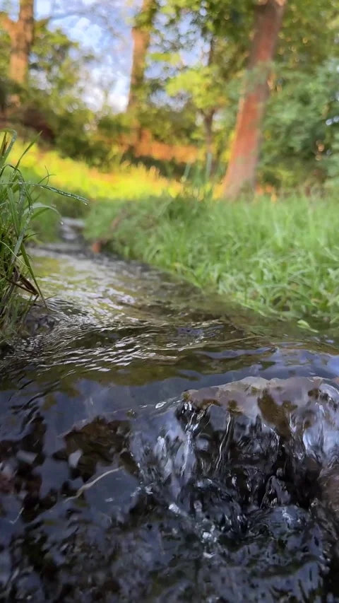 Slow-motion shot of a trickle of clear water flowing down from the mountains Видео 344687682