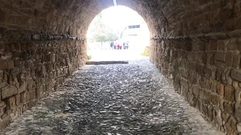 Slow Motion Shot of Walking, Exiting A Tunnel Stock Footage 103096364