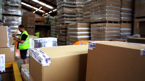 Slow Motion Shot Of Warehouse Workers Working Stock Footage 155981875
