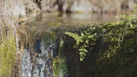Slow motion shot of water falling of a tiny waterfall on a sunny day. Stock Footage 104744799