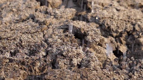 Slow motion shot of water raining in a drought hit field Stock Footage 150249570