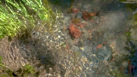 Slow motion shot of water reflection (2) Stock-Footage 252121015