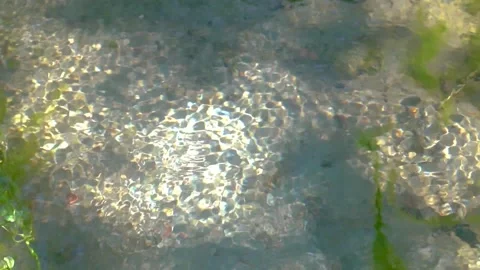 Slow motion shot of water reflection Stock Footage 252121029