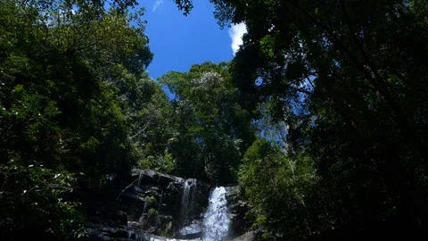 Slow motion shot of a waterfall in a forest full of giant trees, India Vídeos de archivo 119414621