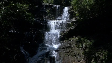 Slow motion shot of a waterfall surrounded by lush green trees and plants 動画素材 119414629