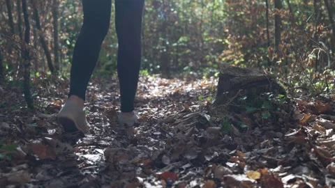 Slow-motion shot of a woman's legs as she walks through a forest covered in Stock Footage 346315135