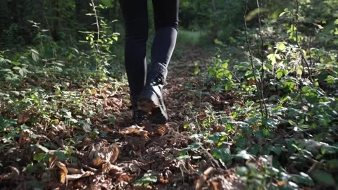 Slow-motion shot of a woman's legs as she walks through a forest covered in Stock Footage 346315150