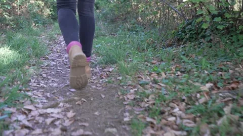Slow-motion shot of a woman's legs as she walks through a forest covered in Stock Footage 346315155