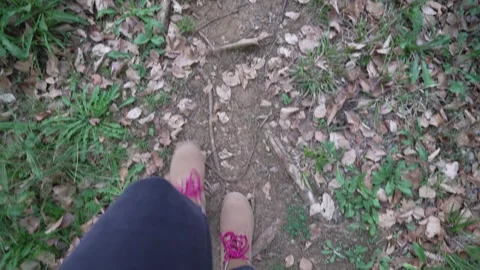 Slow-motion shot of a woman's legs as she walks through a forest Stock Footage 346315170