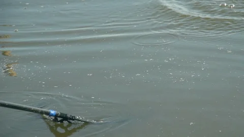 Slow motion shots of the caught fish,  dragged to the fishing landing net. Vidéo 103979741