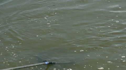 Slow motion shots of the caught fish,  dragged to the fishing landing net. Stock Footage 103979818