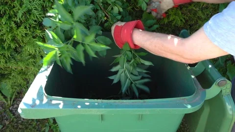 Slow motion: Shrub cuttings dropping into a wheelie bin. Stock-Footage 89931227