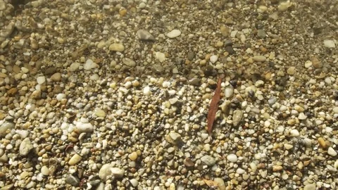 Slow motion sht at the beach with rocks waving water Stock Footage 71326450
