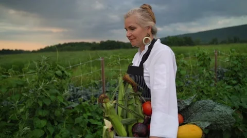 Slow motion side closeup shot of chef farmer walking through field carrying Stock Footage 136008152