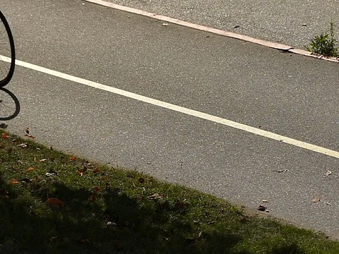 Slow motion silhouette bicyclist moving road Stock Footage 80972718